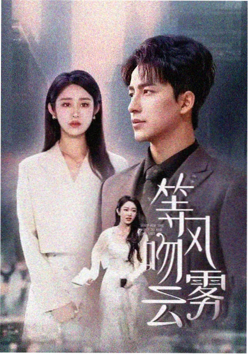 淘淘影院谍战剧长夜将明海报